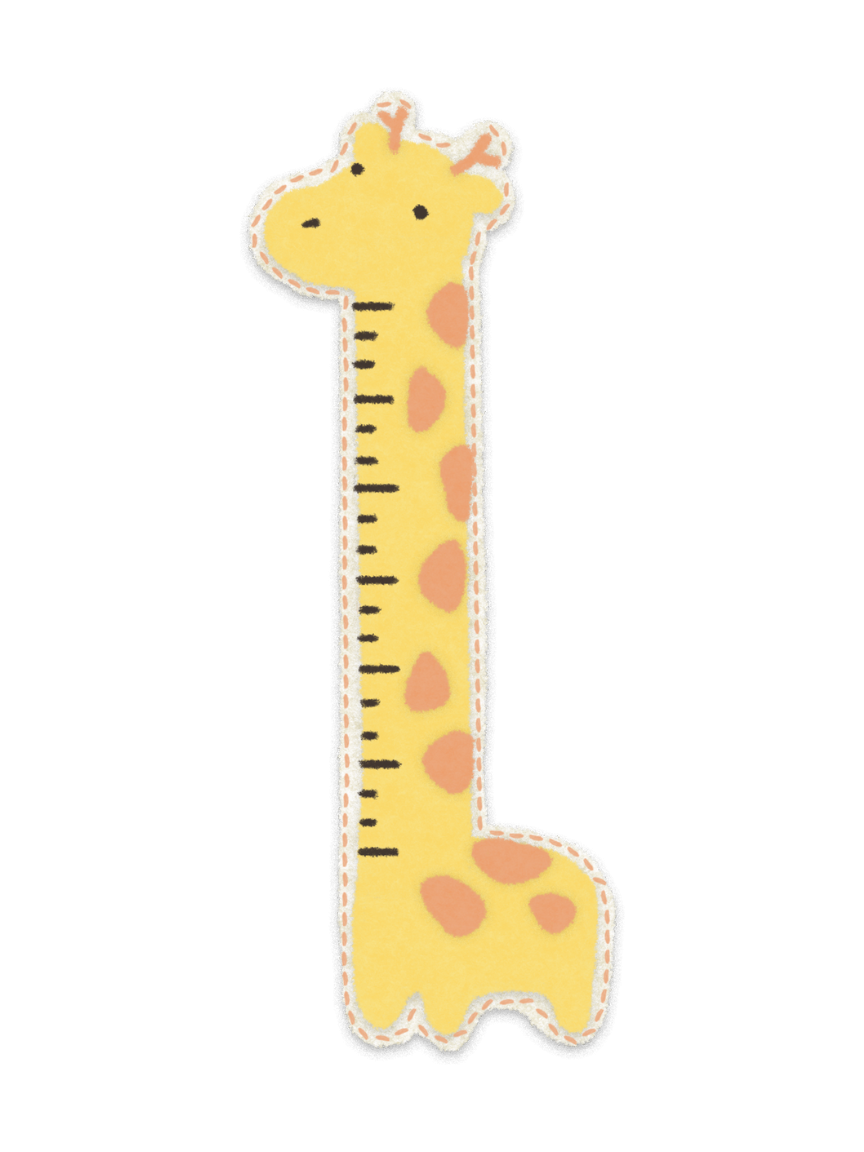 Giraffe Ruler - Randop